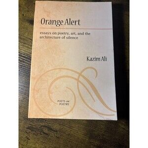 Orange Alert : Essays on Poetry, Art, and the Architecture of Silence Hardcover